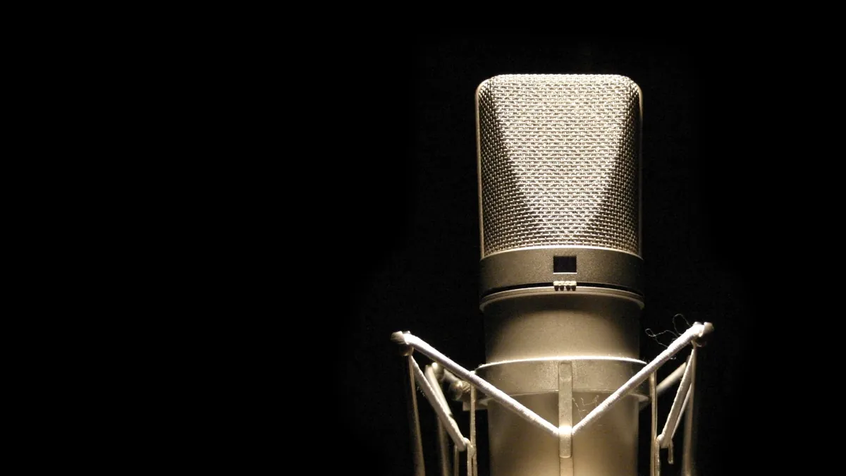 Neumann Kondensatormikrofon — Referenz-Broadcast-Qualität